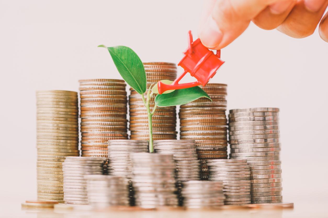 What is SR&ED: Innovation tax credits, explained